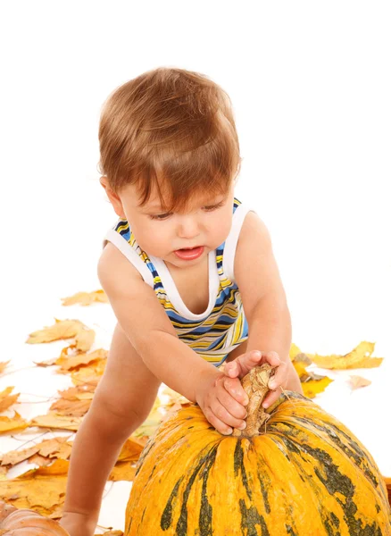 Baby and pumpkin — Stock Photo, Image