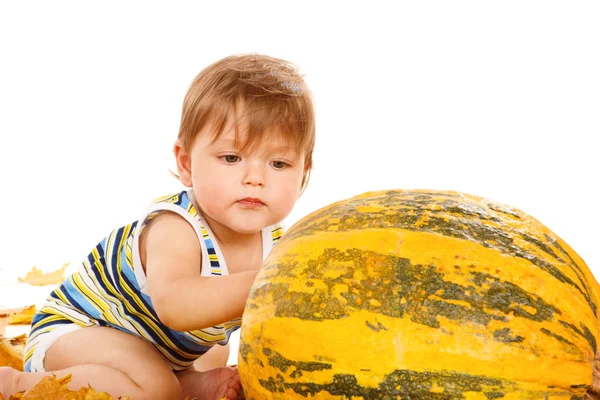 Дитина грає з гарбузами — стокове фото