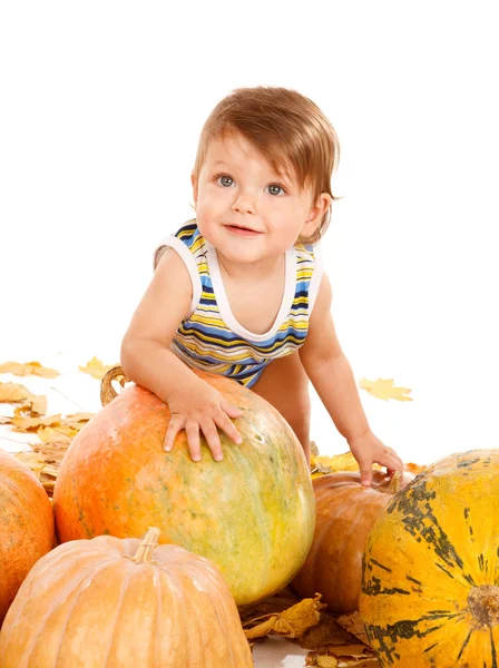 Child playing with pumpkins — Stock Photo, Image
