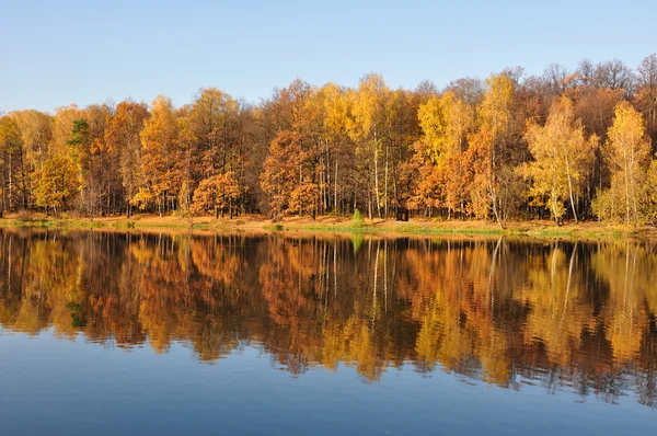 stock image Autumn.