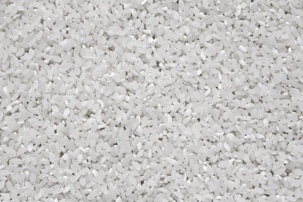 stock image Round rice texture