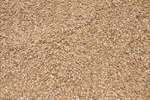 Terreno di grano saraceno — Foto Stock