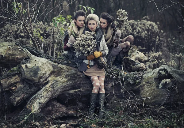 Tres hermosas damas — Foto de Stock
