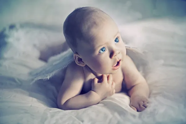Angel bebé —  Fotos de Stock