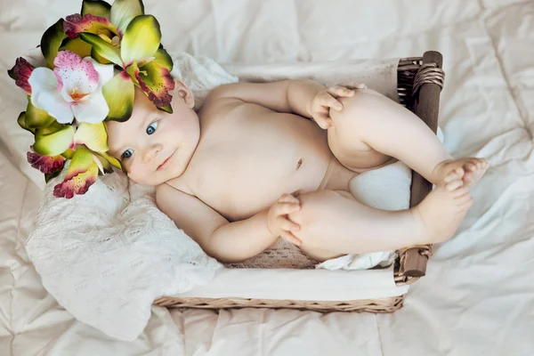 Sweet baby lying in the basket — Stock Photo, Image
