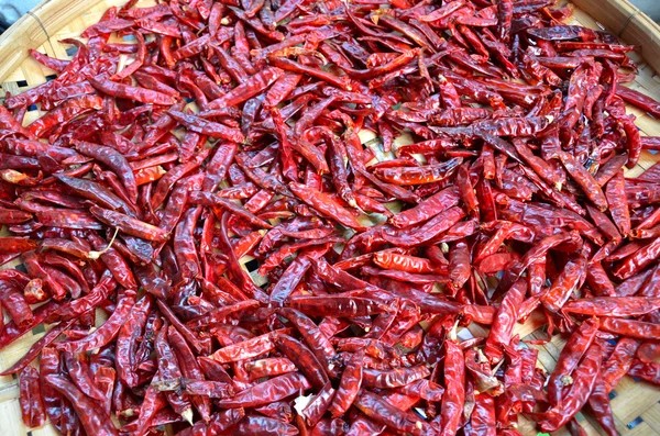 Torkad chili — Stockfoto