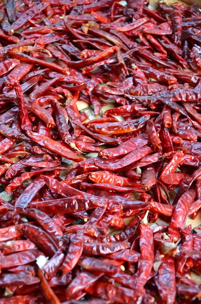 Sušené chilli — Stock fotografie