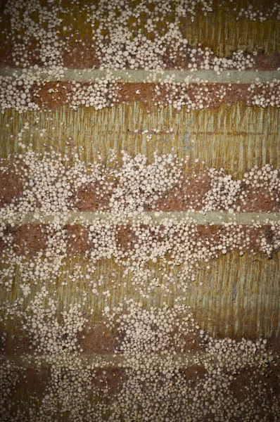 Abstract grunge foam wall — Stock Photo, Image