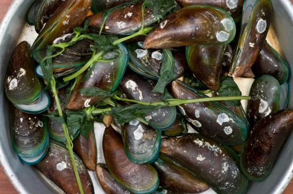 Kokt asiatiska gröna musselbäddar, perna viridis — Stockfoto