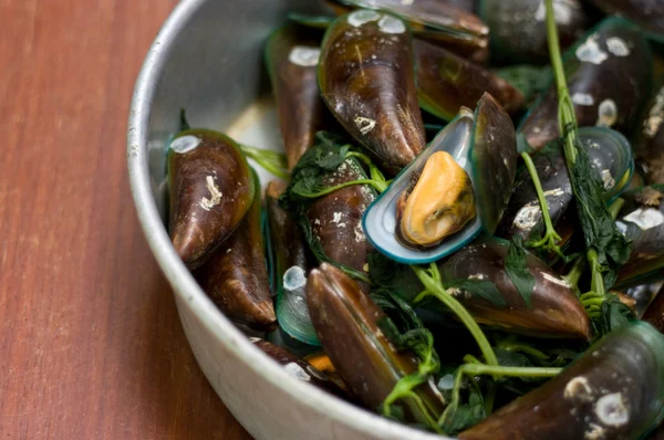 Kokt asiatiska gröna musselbäddar, perna viridis — Stockfoto