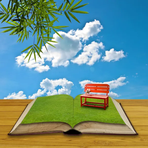 Червоний стілець на траві у відкритій книзі — стокове фото