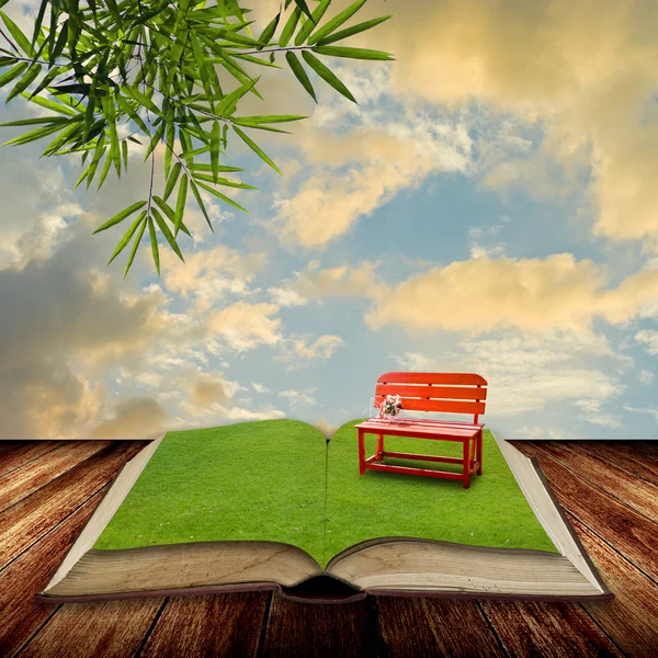 Open book to the park with sunset sky — Stock Photo, Image