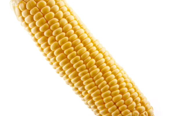 Maïs op wit — Stockfoto