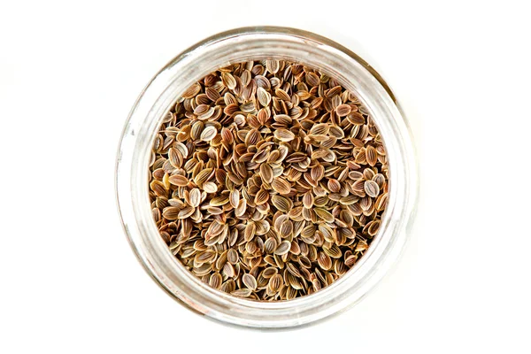 Dill seeds — Stock Photo, Image
