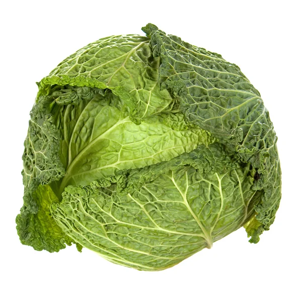 Savoya cabbage — Stock Photo, Image