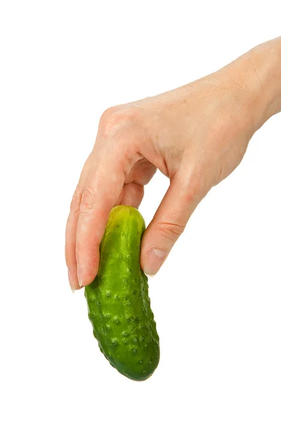 Hand houdt komkommer — Stockfoto