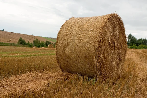 Bir alanda saman yığını — Stok fotoğraf