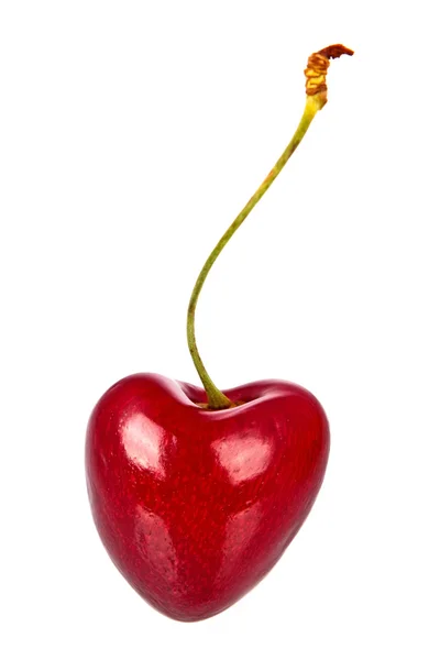 Cseresznye piros szív — Stock Fotó