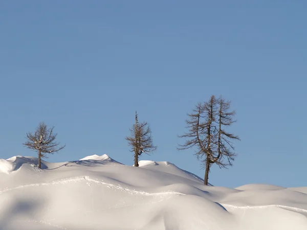 Sneeuw bedekte bergtop — Stockfoto