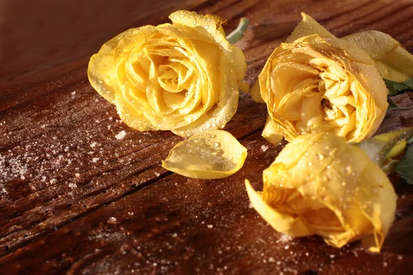 Frozen yellow roses — Stock Photo, Image