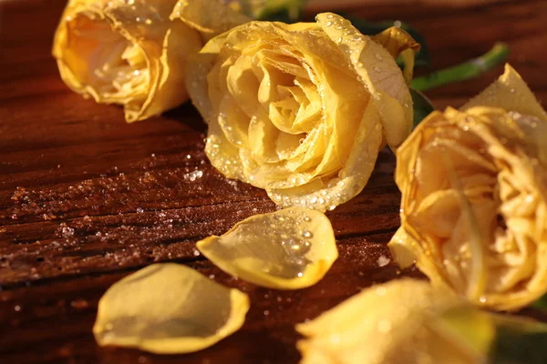 Frozen yellow roses — Stock Photo, Image