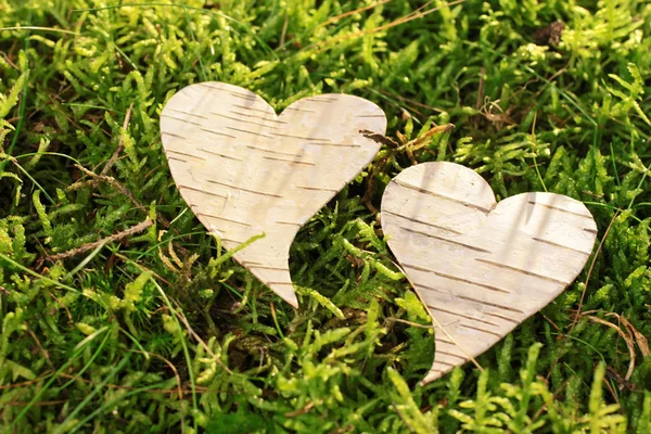 Heart out of bark — Stock Photo, Image