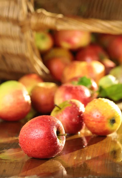 Basket of apples on a wet table — Stock Photo, Image