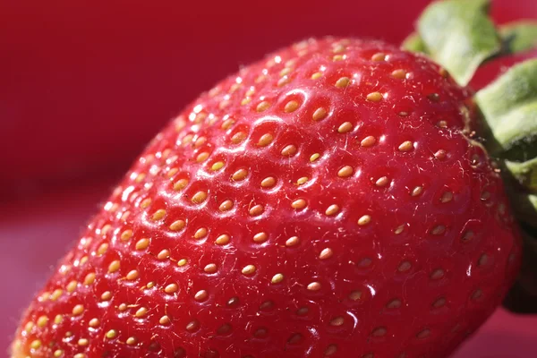 stock image Strawberry