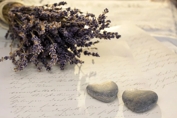 Sten hjärtan med lavendel — Stockfoto