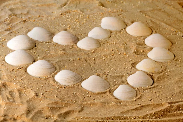 海の貝殻からハート形 — ストック写真