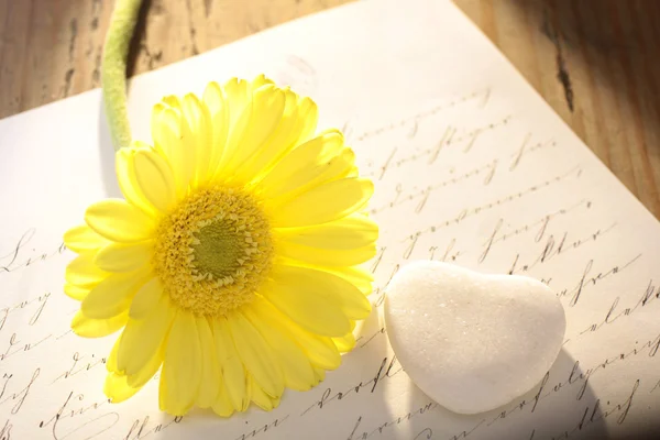 Kamenné srdce s dopisem a květina — Stock fotografie
