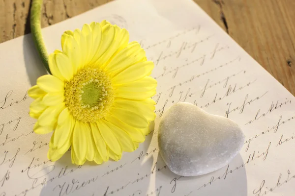 Kamenné srdce s dopisem a květina — Stock fotografie