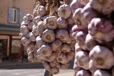 sarımsak