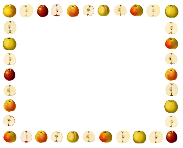 Πλαίσιο με ποικιλίες μήλων — Φωτογραφία Αρχείου