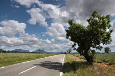 Highway in southern France clipart
