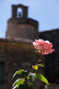 Abbaye Saint Hillaire