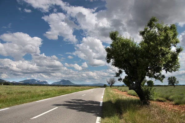 Auto-estrada no sul da França Imagens De Bancos De Imagens