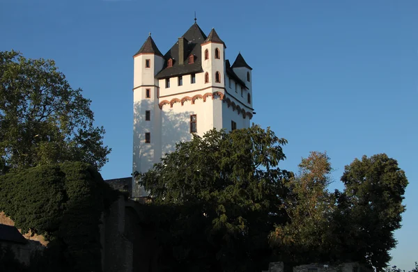 Castle of Eltville — Stock Photo, Image