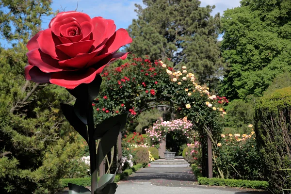 Růžová zahrada v botanické zahradě — Stock fotografie