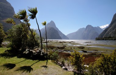 Milford Sound and Mitre Peak clipart