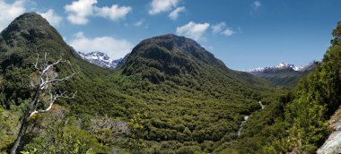 Milford Road Hollyford Vadisi uyanık (Pops görünümü)