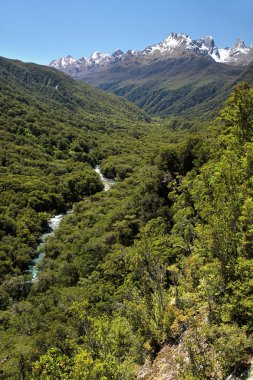 Milford Road Hollyford Vadisi uyanık (Pops görünümü)