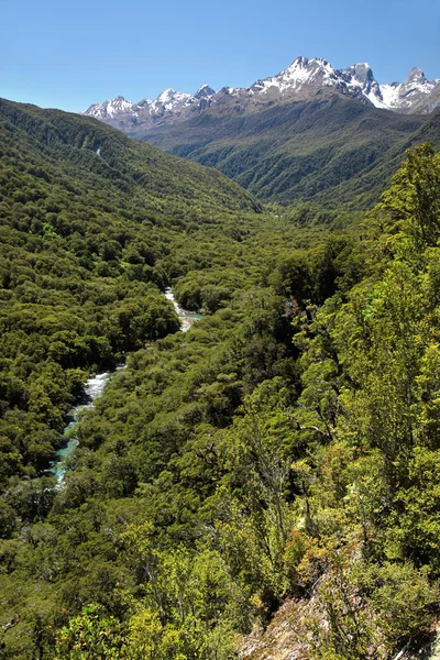 Hollyford Valley Lookout (Pops View) at the Milford Road — Stock Photo, Image