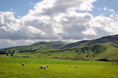 groene landbouwgrond in de buurt van mossburn tussen queenstown en te anau