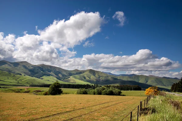 Terras agrícolas perto de Mossburn entre Queenstown e Te Anau — Fotografia de Stock