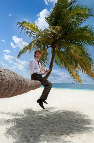 stock image Businessman with tablet pc sitting on palm tree