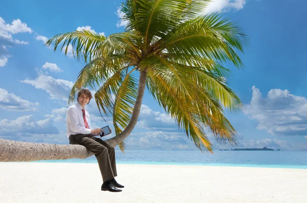 Менеджер з планшетним ПК, що сидить на пальмовому дереві — стокове фото
