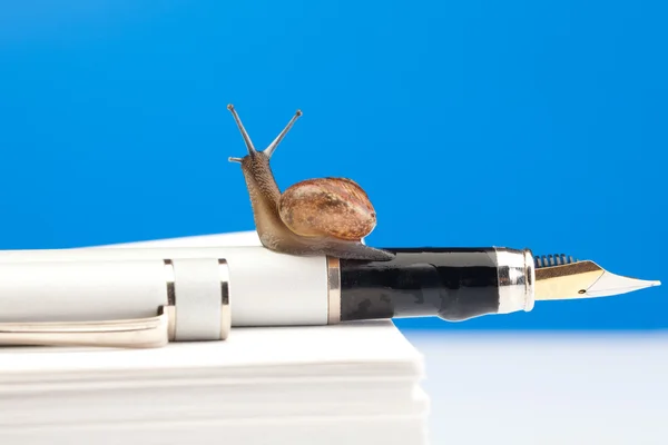 Cute snail on the fountain pen — Stock Photo, Image