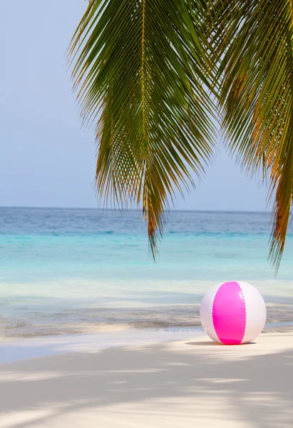 Ball on the beach under the palm — Stock Photo, Image