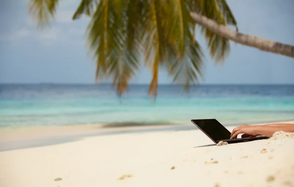 Stay connected on the beach — Stock Photo, Image